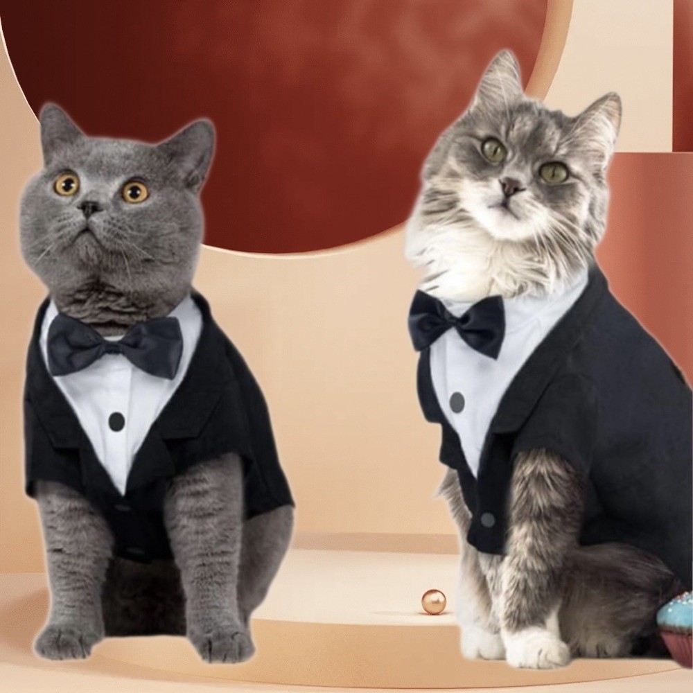 Cat Shirt Vest Clothing Cat Bi - Formal Waistcoat Vest recensione e prezzo